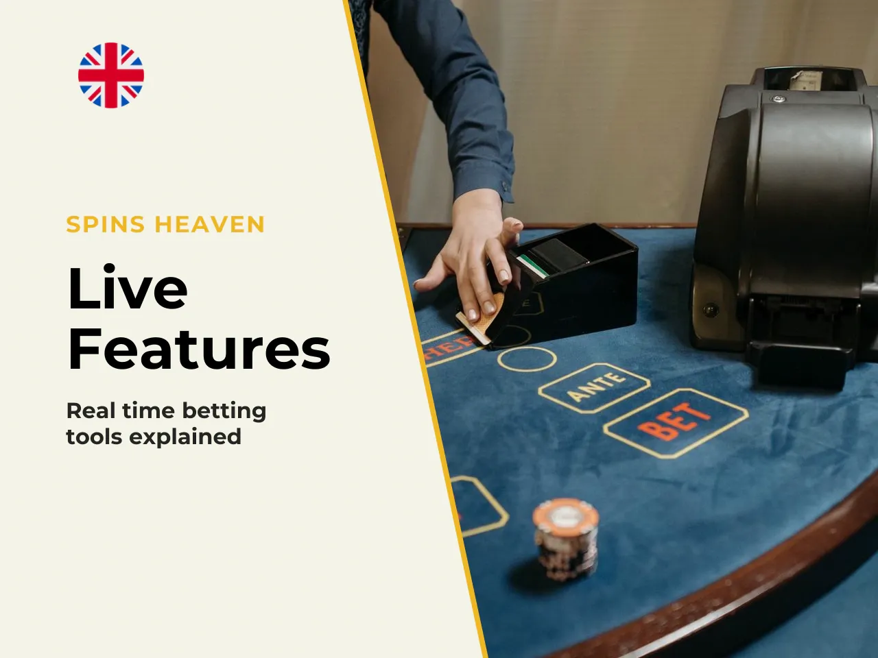 Live Bets, Statistics, and In-Game Chat